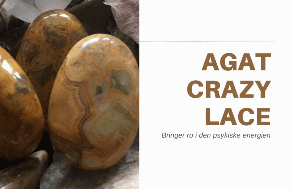 Agat, Crazy Lace XL