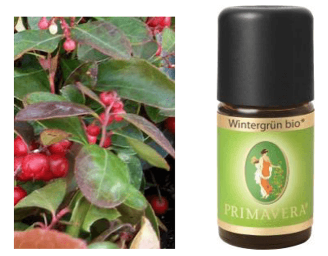 Hovedbilde PrimaVera Wintergreen 5ml ...