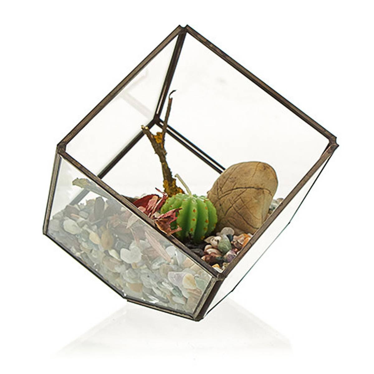 Glass Kube Terrarium