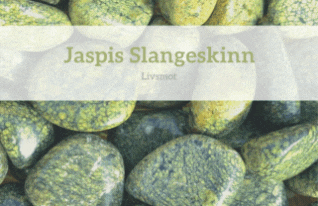 Hovedbilde Jaspis Slangeskinn