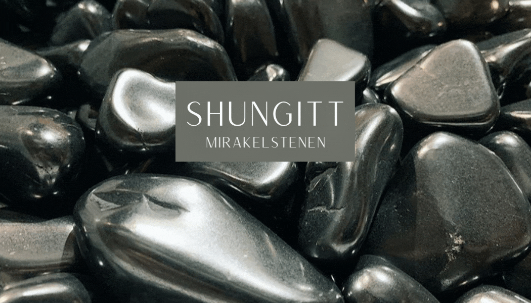 Shungitt Råstein 2-3cm