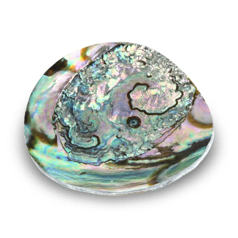 Smykkeskål Abalone Skjell