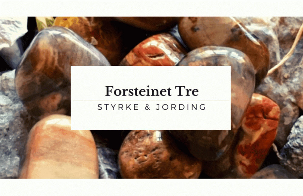 Hovedbilde Forsteinet Tre Flat XL