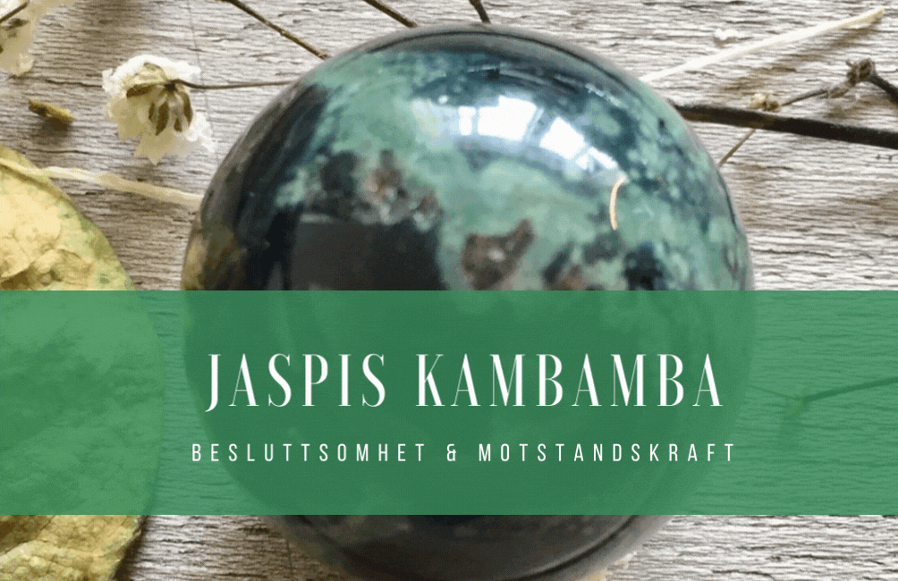 Hovedbilde Jaspis Kambamba XL
