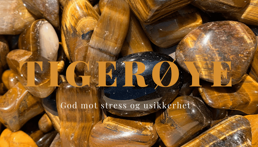 Tigerøye Engleanheng